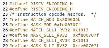 Risc-v custom