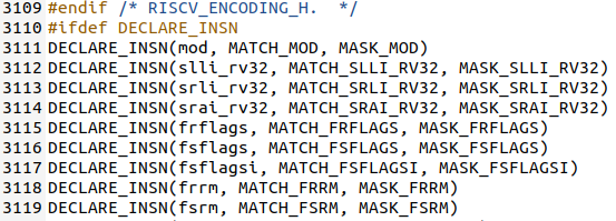 Risc-v custom